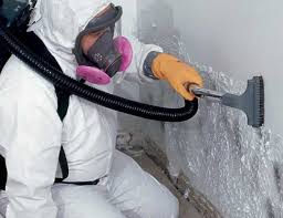 Environmental Consulting for Mold Prevention in North Canton, OH